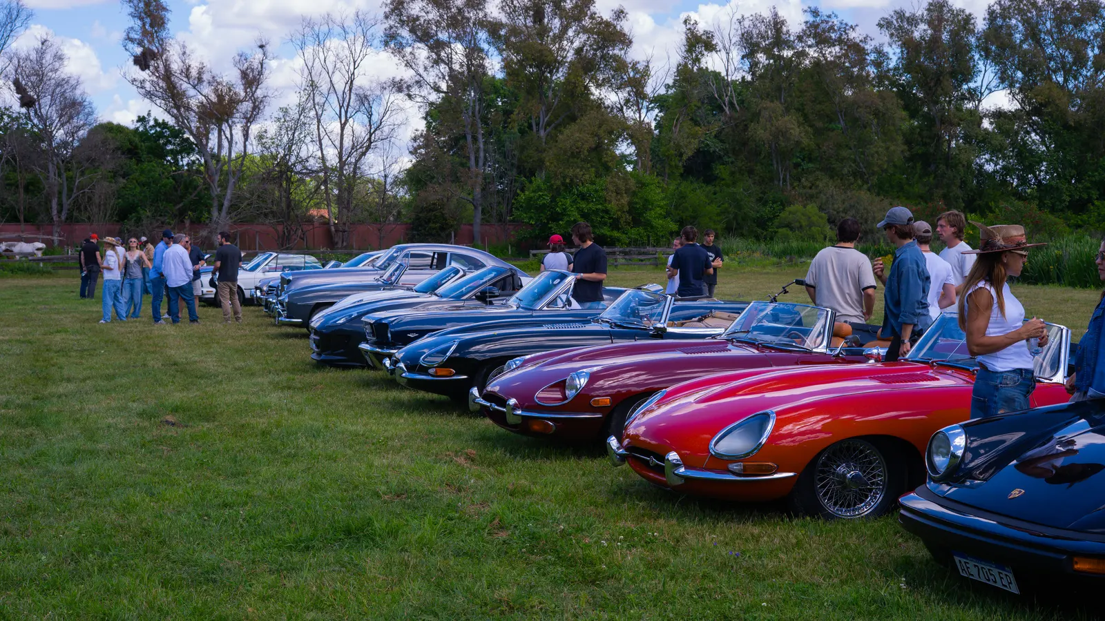 Una hilera de clásicos sobre el césped —un E-Type rojo entre ellos— con los asistentes recorriéndolos.