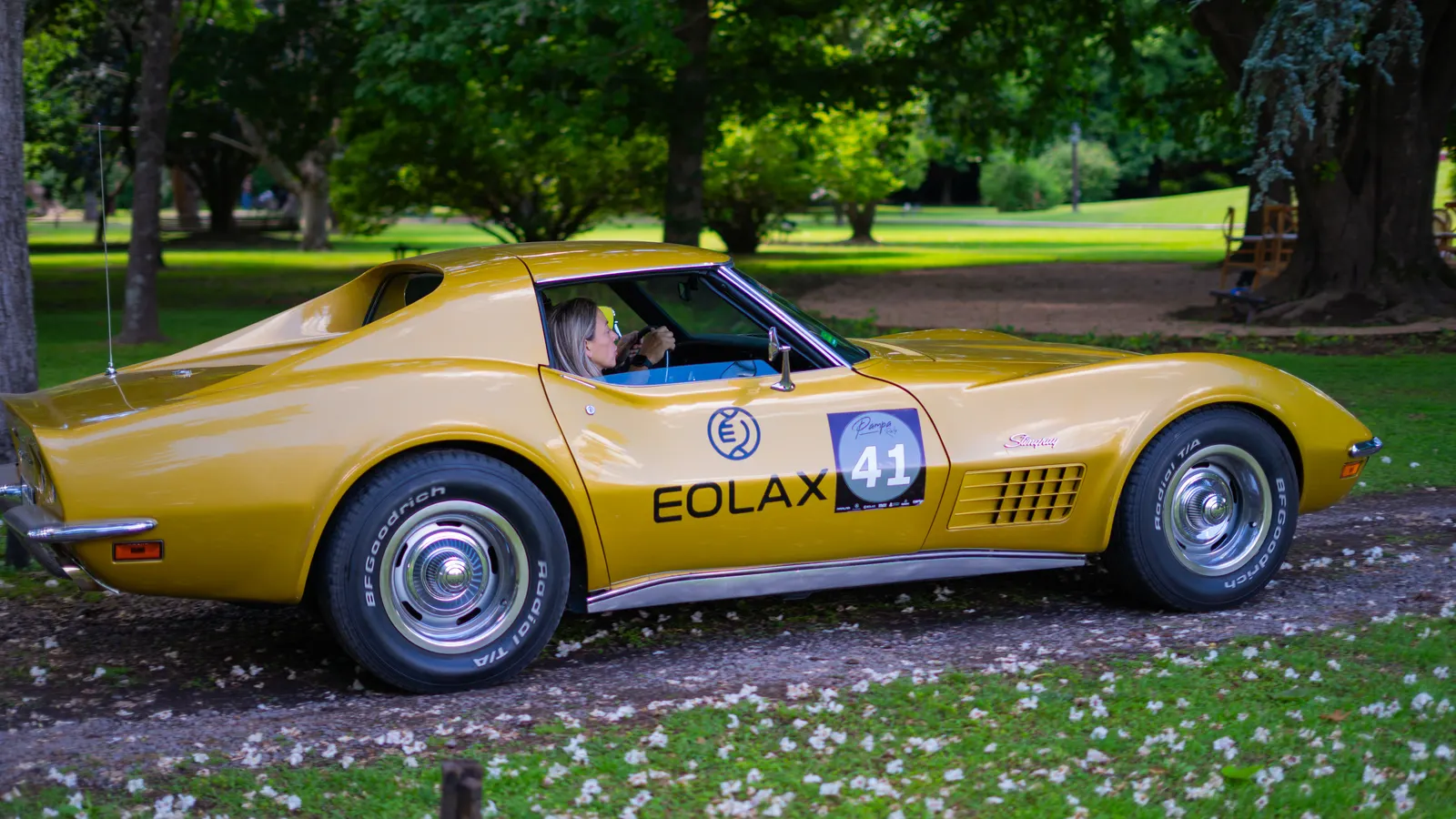 El Corvette Stingray dorado, con el número 41 y el logo de Eolax en la puerta, rodando por el camino del rally.
