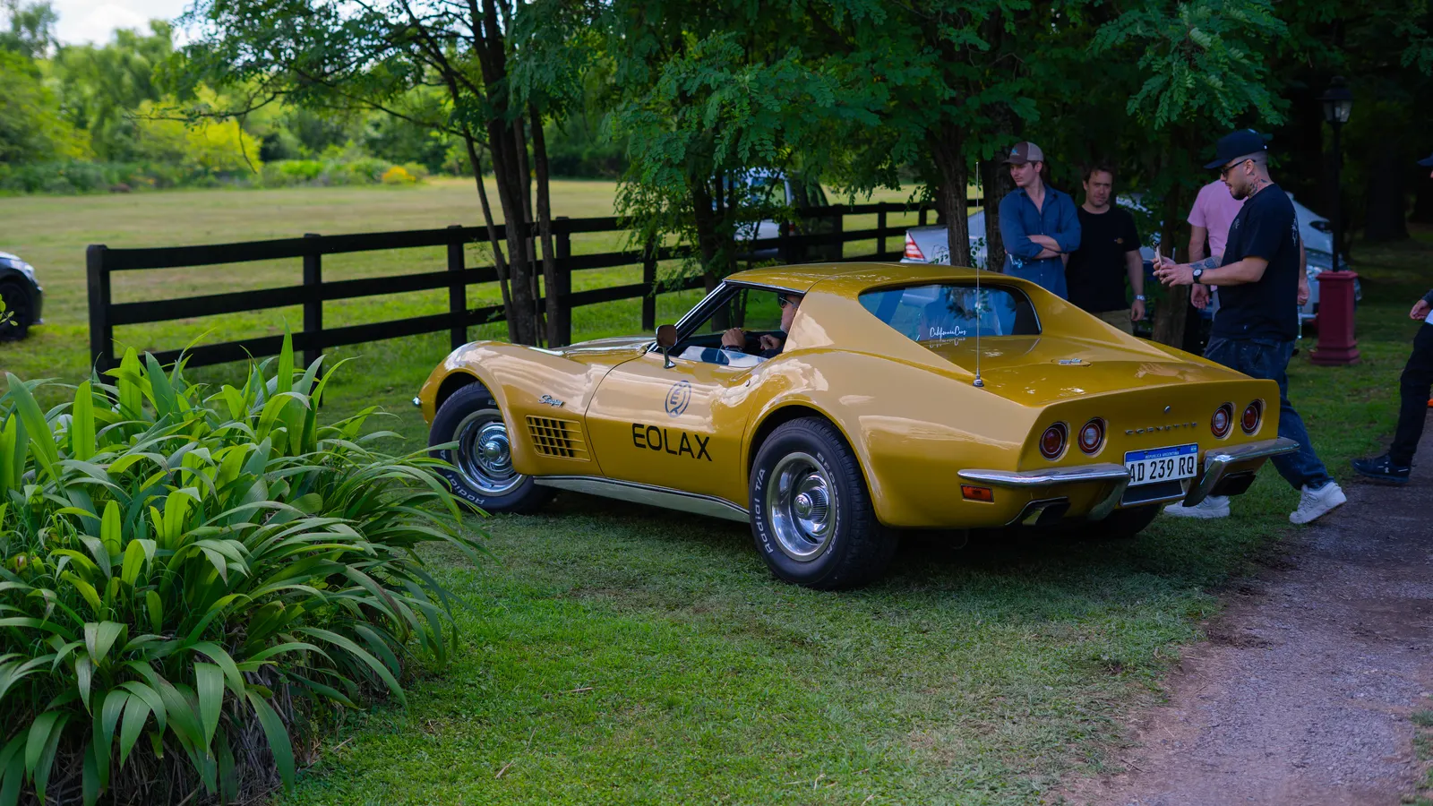 El Corvette estacionado sobre el césped junto al alambrado, con un grupo de asistentes conversando detrás.
